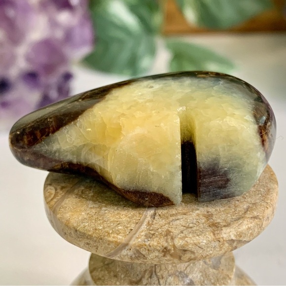 Geode Septarian Nodule Bear Figurine Carved Zuni Style Dragon Stone Carving 2" - Picture 8 of 12